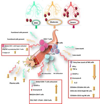 An Update on Protective Effectiveness of Immune Responses After Recovery From COVID-19